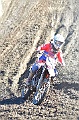 _ROB6826 (Copy)